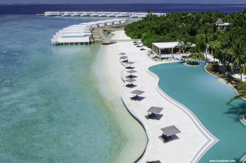 1. Amilla Fushi - Maldives